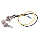 Interruptor de ignição ZTUOAUMA 8N3679C com 2 chaves para trator Ford