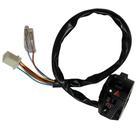 Interruptor Direito Completo Moto FREE150 Shineray Original