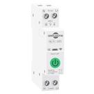 Interruptor Inteligente WiFi aeliussine 1-63A com Controle Remoto
