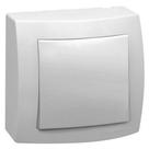 Interruptor Paralelo Sistema X - 675001 - PIAL Interruptor Paralelo Sistema X - 675001 - PIAL