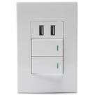 Interruptor Premium Duplo De Parede Com Dupla Entrada USB