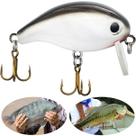 Isca Artificial Firezinha Prateada/Preta de Superfície 3.8cm 4,1g para Tilápia Black Bass Firefish Isca Artificial Firezinha Prateada/Preta de Superfície 3.8cm 4,1g para Tilápia Black Bass Firefish