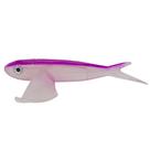 Isca Artificial Peixe Voador 21cm 115g - Albatroz Cor RX