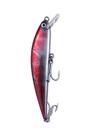 Isca atlanticus 145 - k-ranx atlanticus 145:cor 1 Isca atlanticus 145 - k-ranx atlanticus 145:cor 1