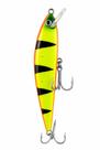 Isca atlanticus 145 - k-ranx atlanticus 145:cor 5 Isca atlanticus 145 - k-ranx atlanticus 145:cor 5