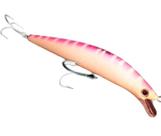 Isca borboleta juana s