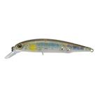 Isca Imakatsu Riprizer 90F / 9cm - 10,3g - Floating