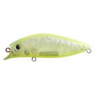 Isca Marine Sports Brava Grand 100