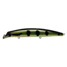 Isca Monster 3X ACT-X 120 / 12Cm -16g - Floating