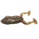 Isca Monster 3X Frog Baby / 7Cm - 2Un