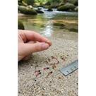 Isca Mosca Larva: PEGA Lambaris e Tilápias (Kit 10)