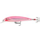Isca Rapala Xrap XR 10