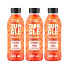 Isotonico Jungle Endurance Tangerina Equilibrio Mineral 500ml Kit 3 Plant Power