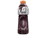 Isotônico Sabor Uva Gatorade 500ml