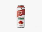 Itts sero melancia s/acucar pack com 06 un 473ml
