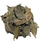Jaborandi Folha 250Gr