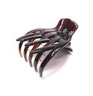 Jacare Tartaruga 8,0 x 6,0 cm N 312731