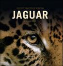 Jaguar - o rei das americas Jaguar - o rei das americas