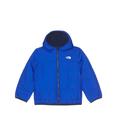 Jaqueta infantil com capuz Shasta reversível para meninos THE NORTH FACE, azul TNF, 3