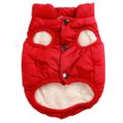 Jaqueta para cães Joydaog forrada de lã, quente de inverno, para cães pequenos, vermelha M