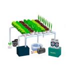Jardim kit Hidroponico N15 Com nutrientes e Sementes