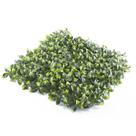 Jardim Vertical Jardim GG024C (Pack 4PÇ/1m²) Verde Graddus Jardim Vertical Jardim GG024C (Pack 4PÇ/1m²) Verde Graddus