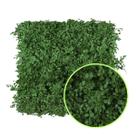 Jardim Vertical Natural Desidratado Folhagem Avenca - 1 m²
