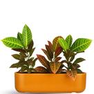 Jardineira Doha Para Plantas Floreira de Polietileno 50cm - Jardineira Doha Para Plantas Floreira de Polietileno 50cm -
