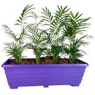 Jardineira Floreira 50cm De Plástico Para Plantas E Flores
