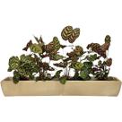 Jardineira Viena Para Plantas 100x14cm Floreira Polietileno