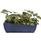 Jardineira Viena para Plantas 60x20cm Floreira Polietileno -
