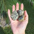 Jaspe Dalmata Pedra Natural Rolada - 1kg e 500g
