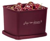 Jeitoso 800ml Marsala "Aqui tem abraços" Tupperware