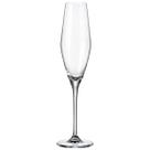 Jg.6 Taças p/Champanhe em Cristal Loxia Transparente 210ml