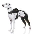 Joelheira para cães Furtent para animais de estimação com lesões no ligamento cruzado