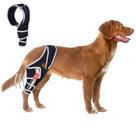 Joelheira para cães Furtent para LCA rasgada, perna traseira ajustável, XL
