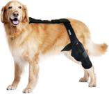 Joelheira para cães MerryMilo Torn ACL e suporte para pernas traseiras preta M