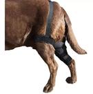 Joelheira Tala De Metal Articulada Luxação De Patela Cão