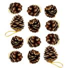 Jogo 12 Pinhas Natural de Natal Glitter Dourado 4cm - Magizi Jogo 12 Pinhas Natural de Natal Glitter Dourado 4cm - Magizi