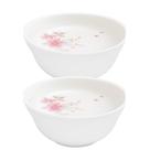 Jogo 2 Bowl Tigela Cumbuca Caldos Sobremesas Flowers Bord Vidro 400ml Em Casa Tem Jogo 2 Bowl Tigela Cumbuca Caldos Sobremesas Flowers Bord Vidro 400ml Em Casa Tem