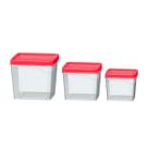 Jogo 3 Potes Quadrados 250ml / 450ml / 800ml Vermelho