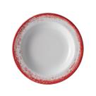 Jogo 4 Prato Fundo 23cm Porcelana Schmidt Nevoa Vermelho