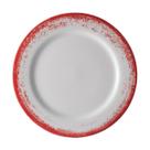 Jogo 4 Prato Raso 26cm Porcelana Schmidt Nevoa Vermelho