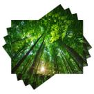 Jogo Americano com 4 peças - Floresta - Natureza - Paisagem - 2047Jo Jogo Americano com 4 peças - Floresta - Natureza - Paisagem - 2047Jo