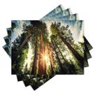 Jogo Americano com 4 peças - Floresta - Natureza - Paisagem - 2049Jo Jogo Americano com 4 peças - Floresta - Natureza - Paisagem - 2049Jo