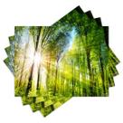 Jogo Americano com 4 peças - Natureza - Paisagem - Floresta - 2085Jo Jogo Americano com 4 peças - Natureza - Paisagem - Floresta - 2085Jo