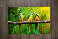 Jogo Americano Personalizado de Neoprene Coleção Pet Use na Mesa Jantar, Varanda e Computador Arara Azul Floresta