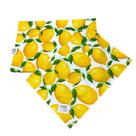 Jogo Americano Sousplat Retangular Limão Siciliano Kit C/ 6
