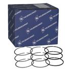 Jogo Anel Segmento Ecosport Ka 1.5 12v Dragon Std Jogo Anel Segmento Ecosport Ka 1.5 12v Dragon Std