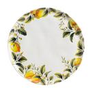Jogo c/ 6 prato raso bio limonata ceramica porto brasil